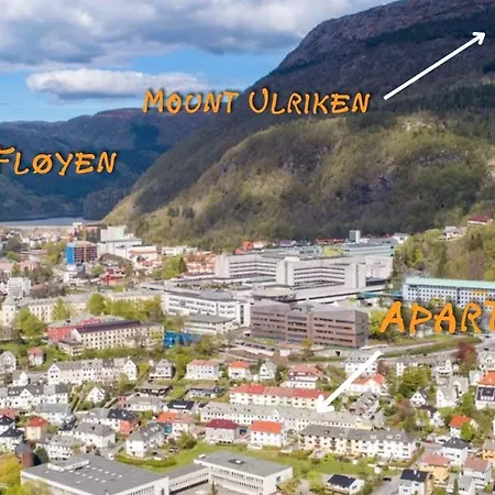 Cozy Near Center And The Mountains Lejlighed Bergen